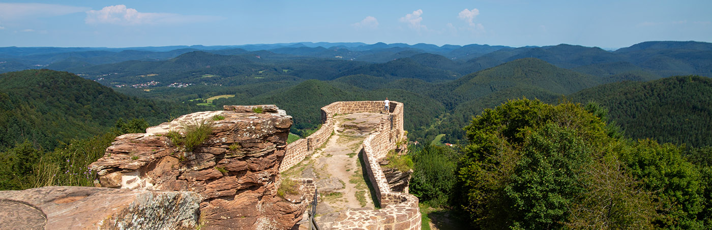 UNESCO-Biosphärenreservat Pfälzerwald-Nordvogesen 