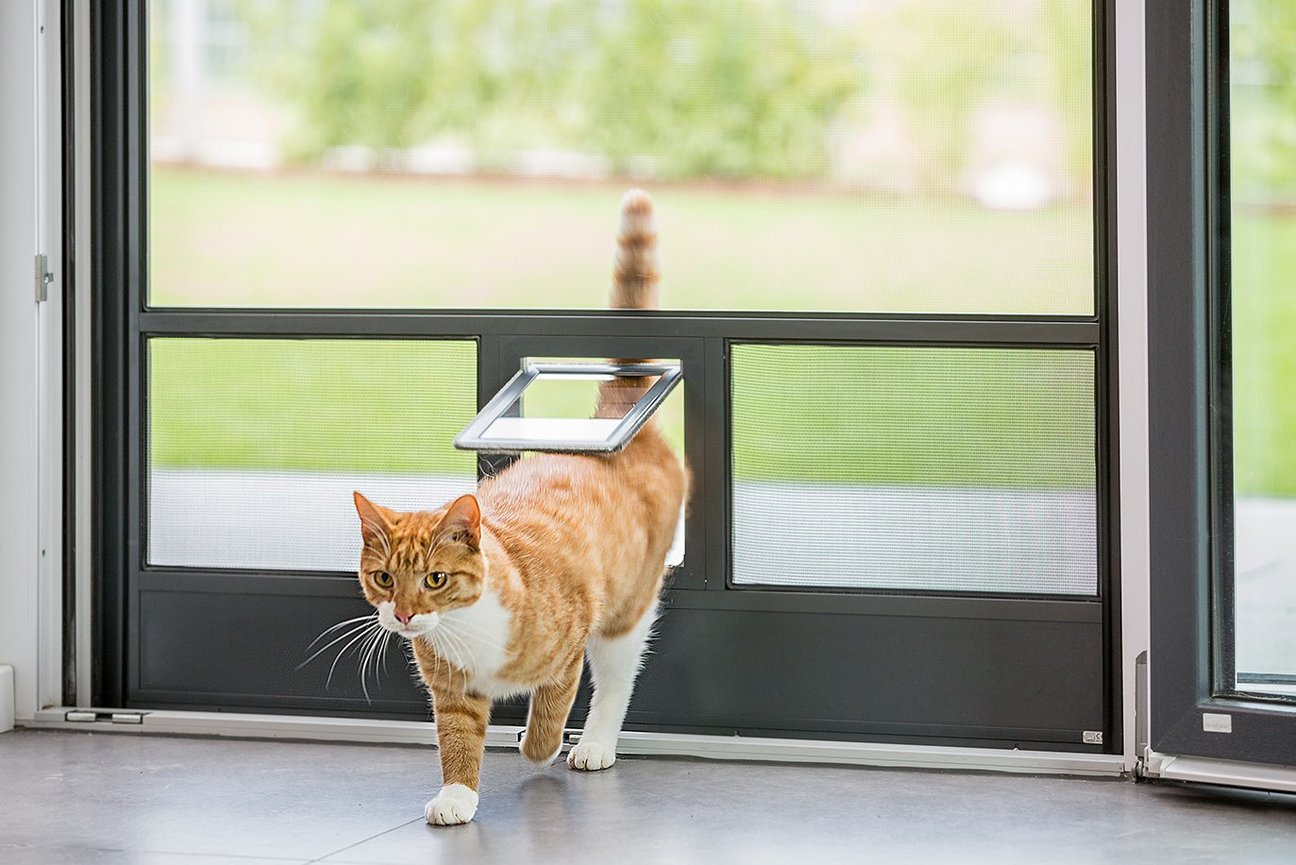 Interner Link zu Insektenschutz