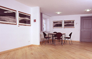 Natürliche Bodenbeläge - Woodline - Bodendielen, Terrassendielen Neustadt Pfalz